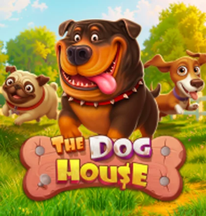 The Dog House